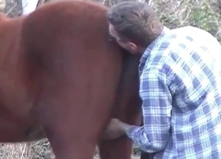 Horse being nicely fingered
