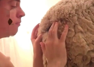 Hairy dog enjoys bestial sex