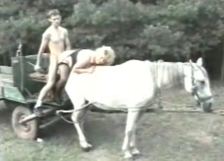 Guy fucks girl on a horse