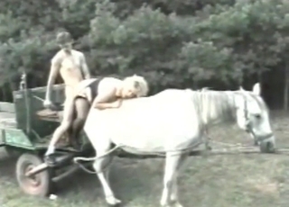 Guy fucks girl on a horse