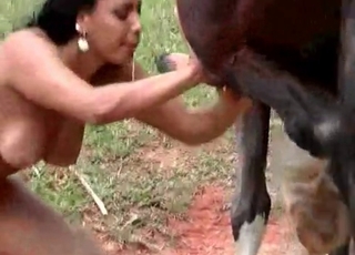 Busty zoophile sucks a horse