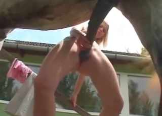 Blonde licked out by a dog