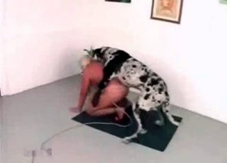 Zoo sex with a mongrel