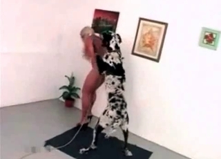 Zoo sex with a mongrel