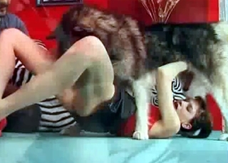 Dirty oral game with a doggy