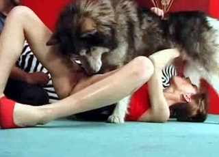 Dirty oral game with a doggy