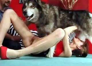 Dirty oral game with a doggy